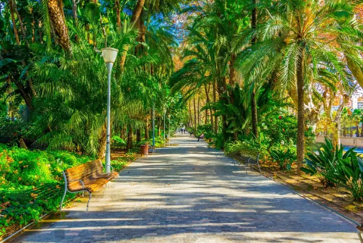 image of Paseo del Parque